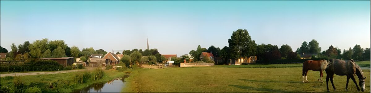 Rustig Plattelandslandschap met Paarden