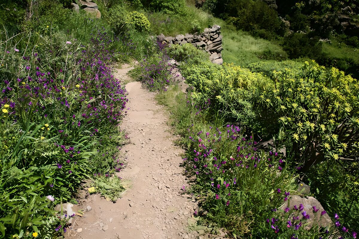 Bloemrijke wandelroute in de natuur