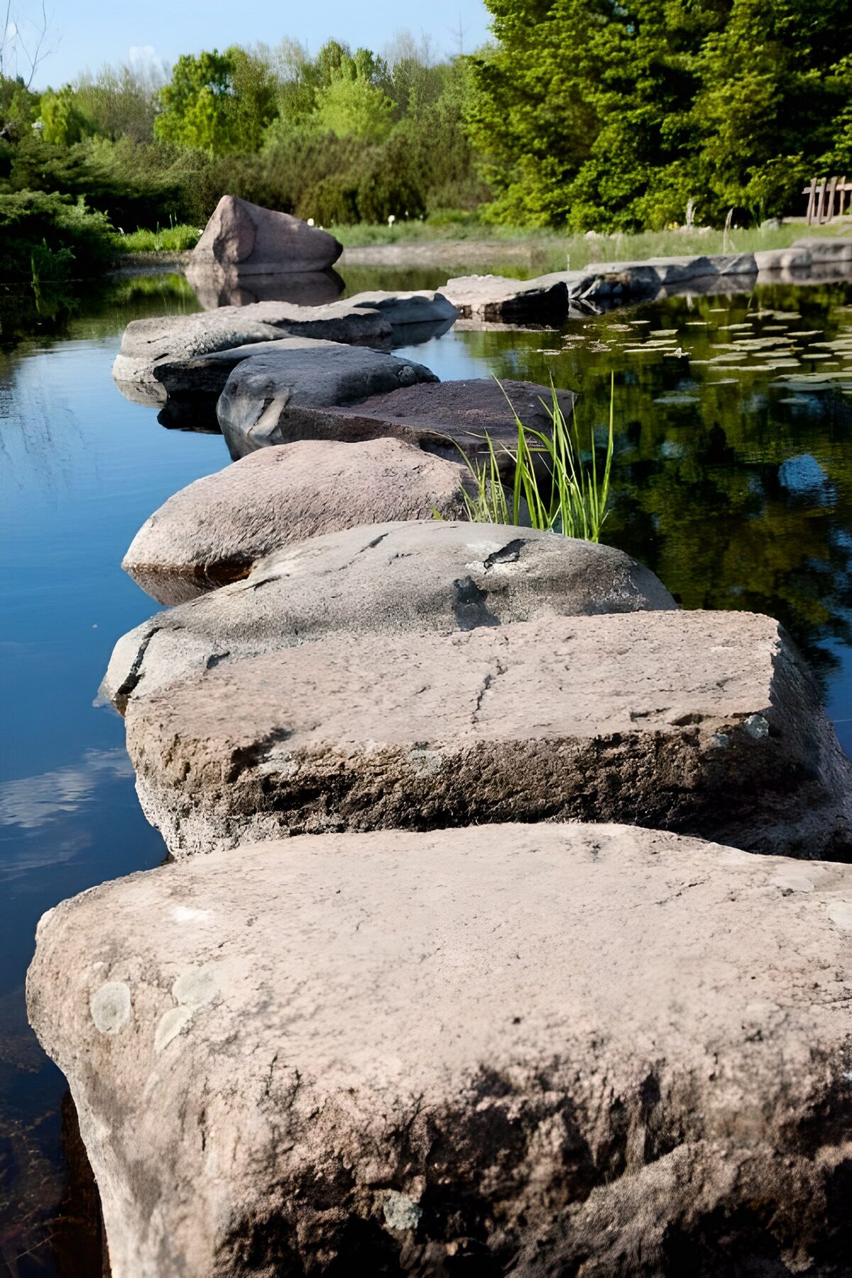 CW7080689: Natuurlijke stapstenen over het water
