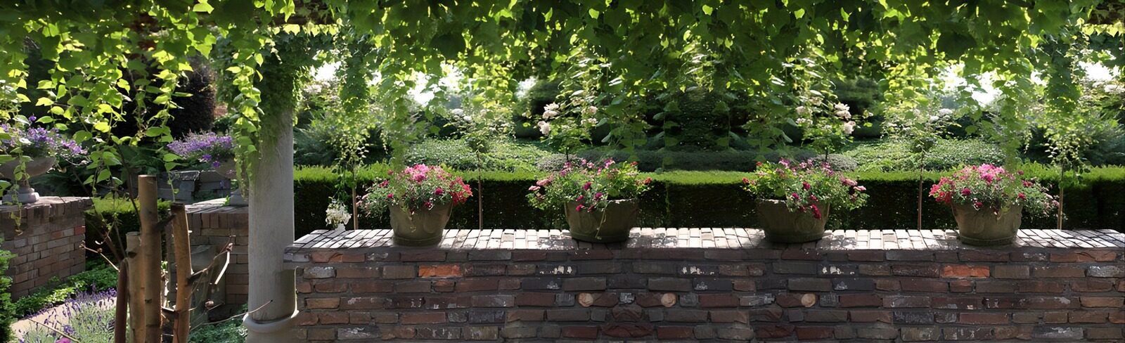 CW3151853: Prachtige bloementuin met stenen muur