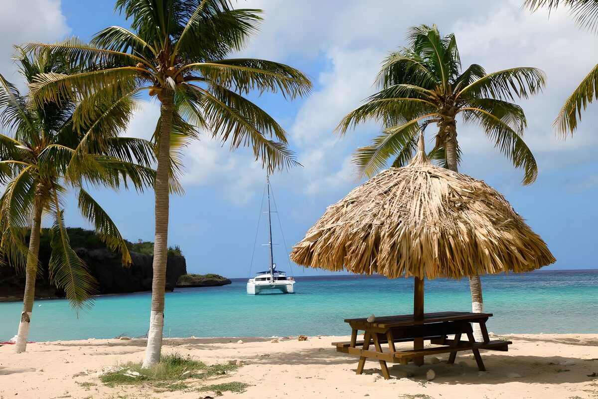 Tropisch Strand met Palmbomen