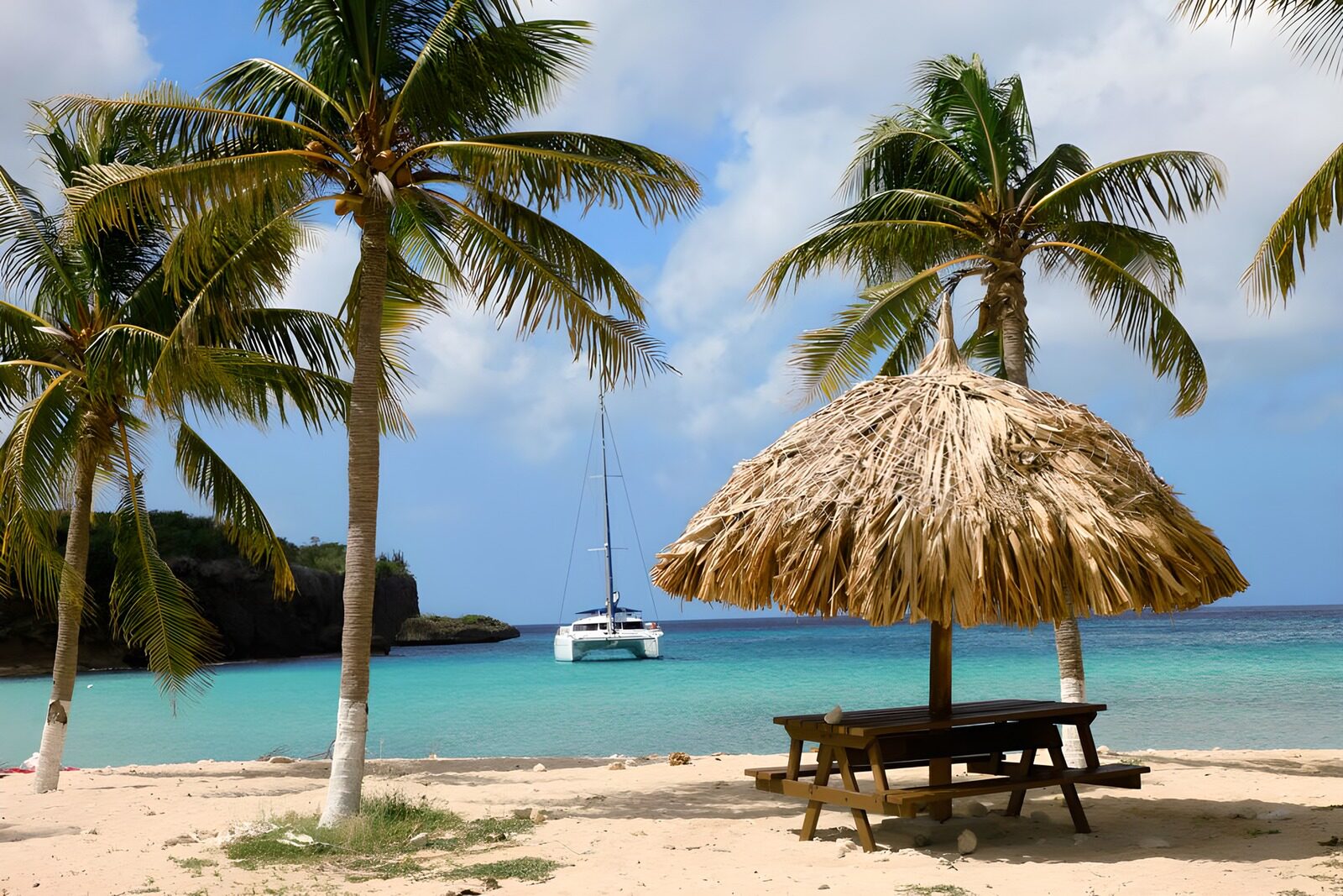 CW1199475: Tropisch Strand met Palmbomen