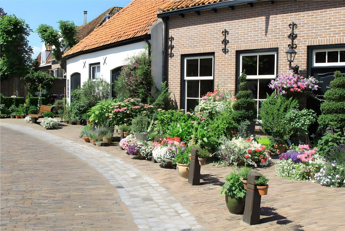 Zomerachtige bloementuin bij huis