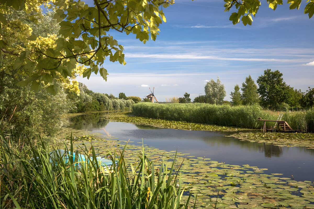Rustig Waterlandschap met Windmolen