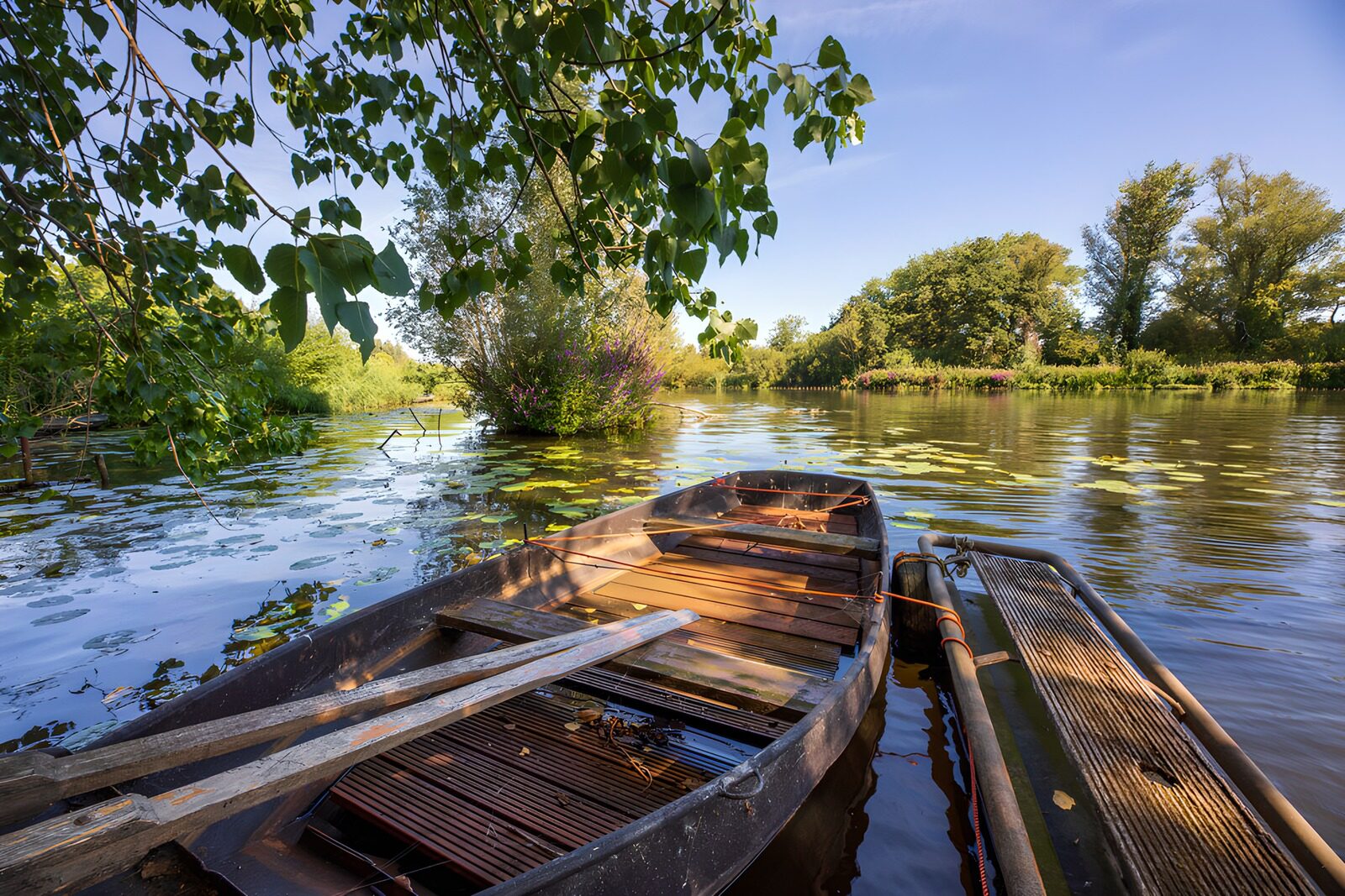 CW1676094: Rustige bootjes in de natuur