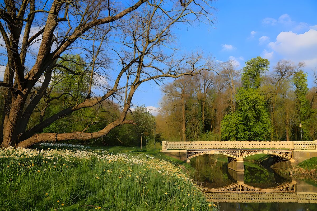 CW7503913: Prachtige Lente bij de Brug