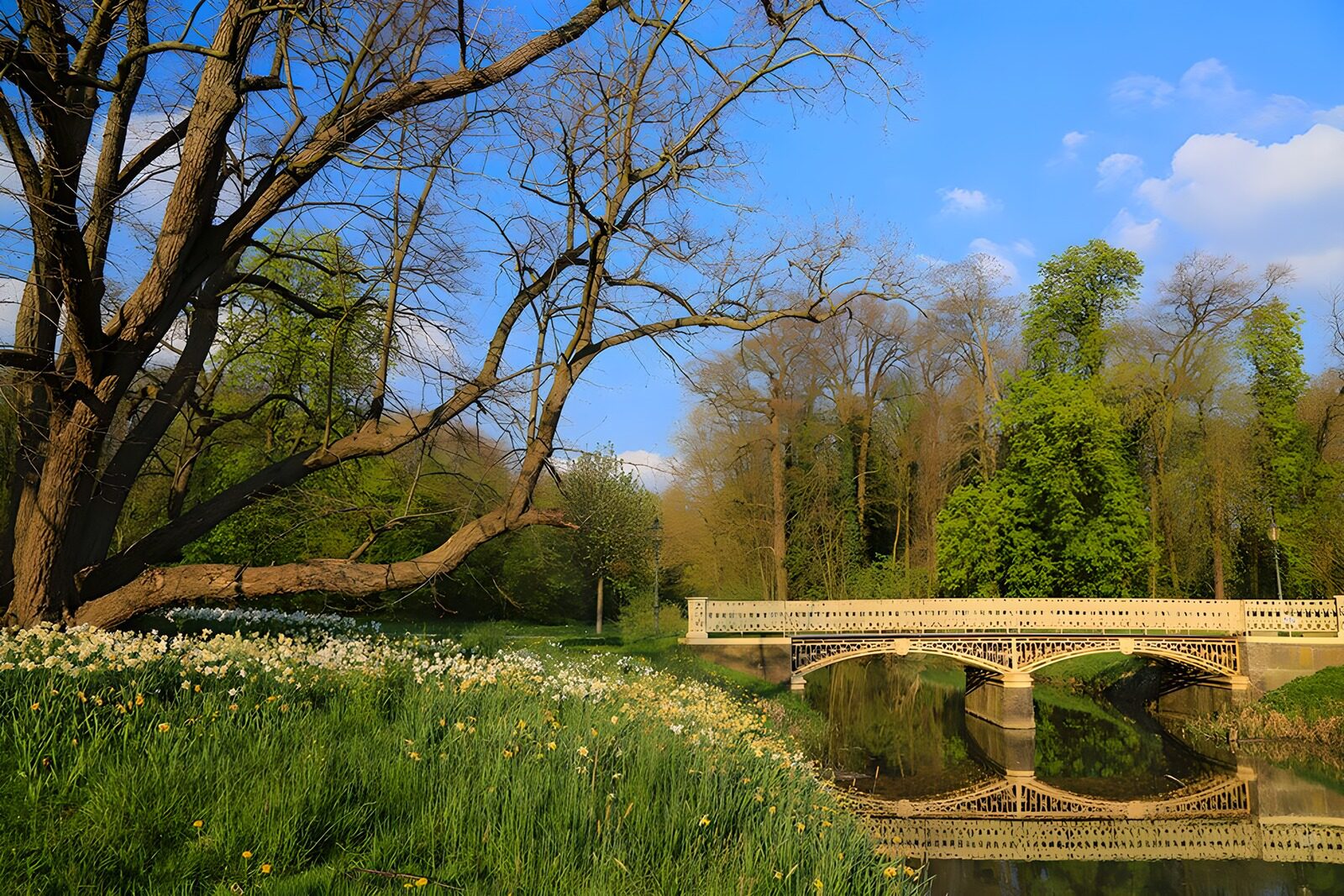 CW7503913: Prachtige Lente bij de Brug
