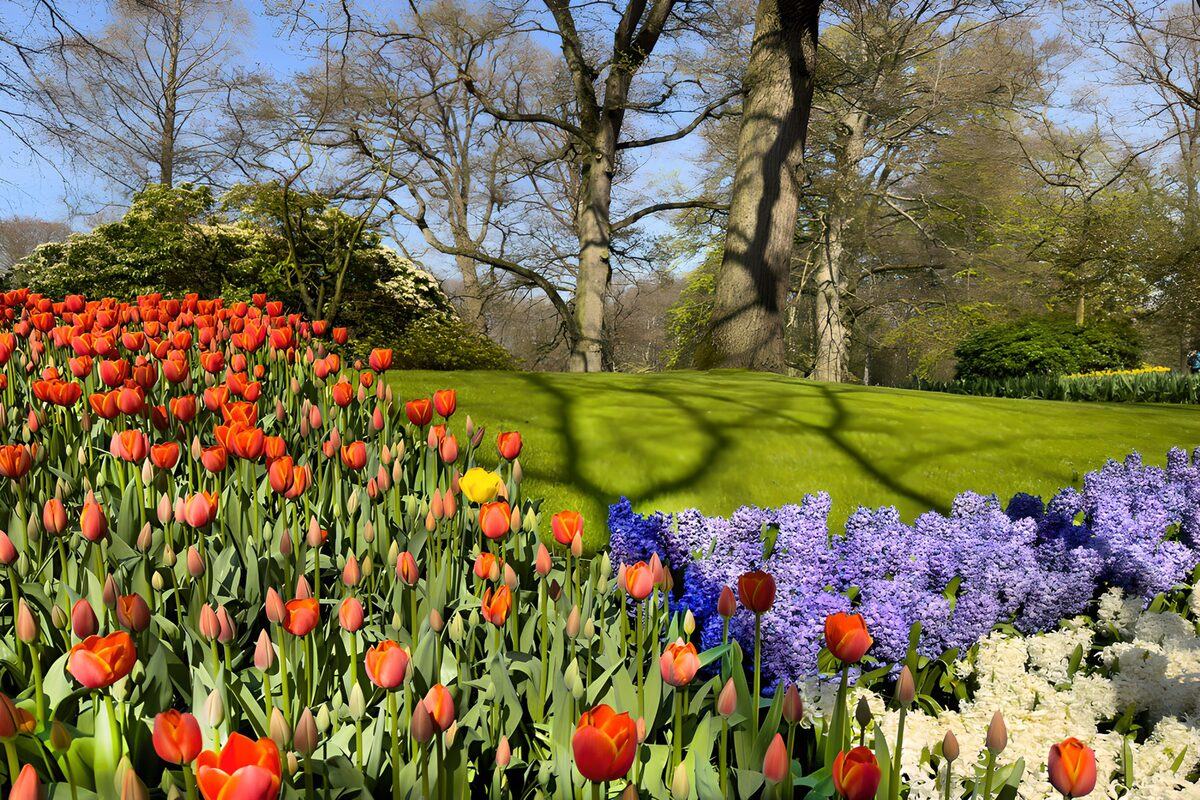 Kleurrijke Lente in de Tuinen