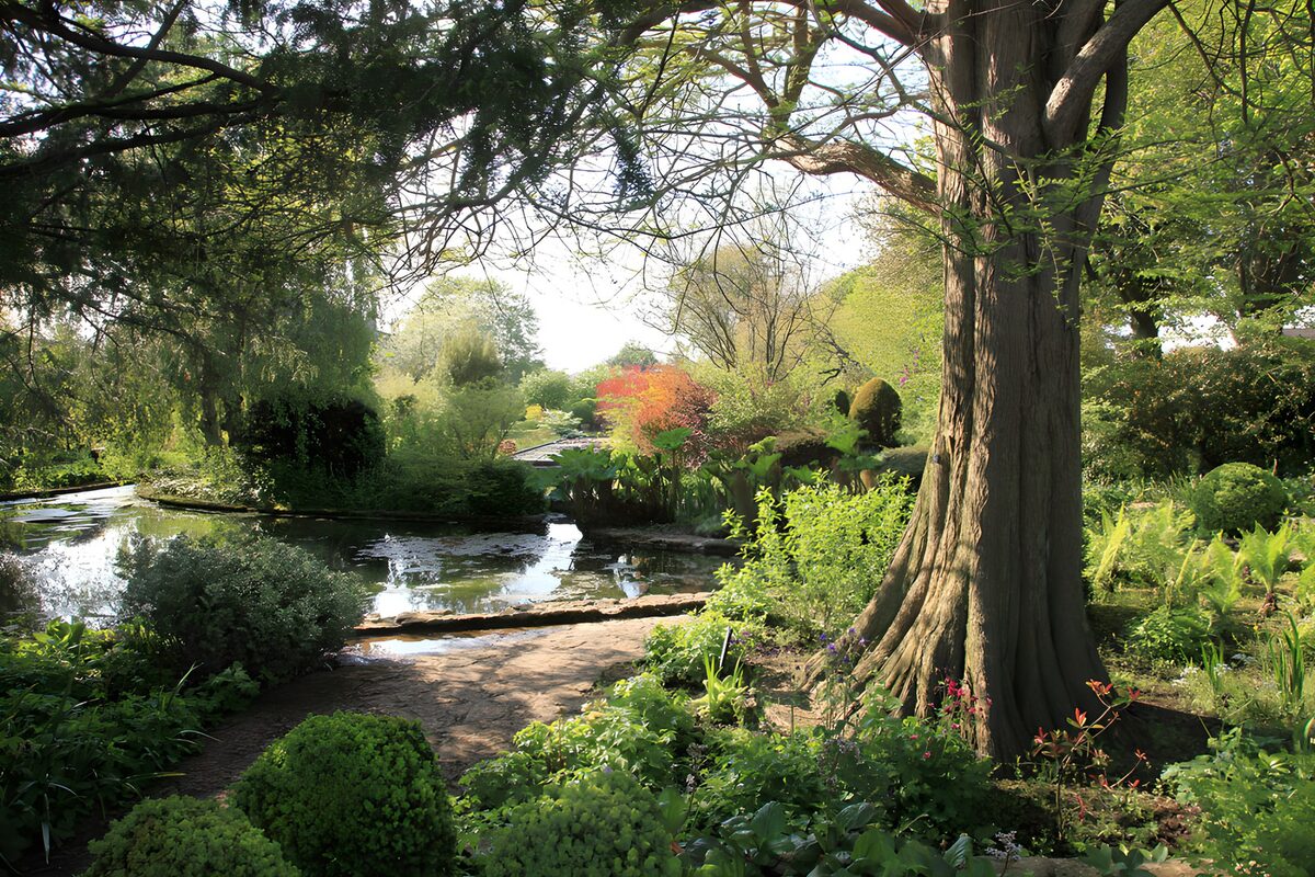 CW1546066: Rustige oase in een groene tuin
