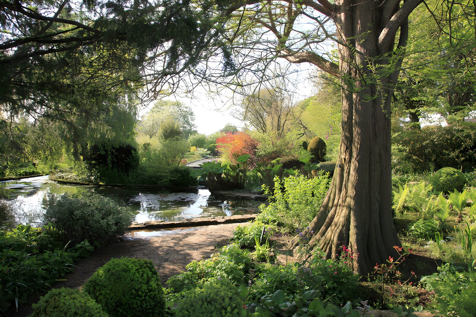 CW1546066: Rustige oase in een groene tuin
