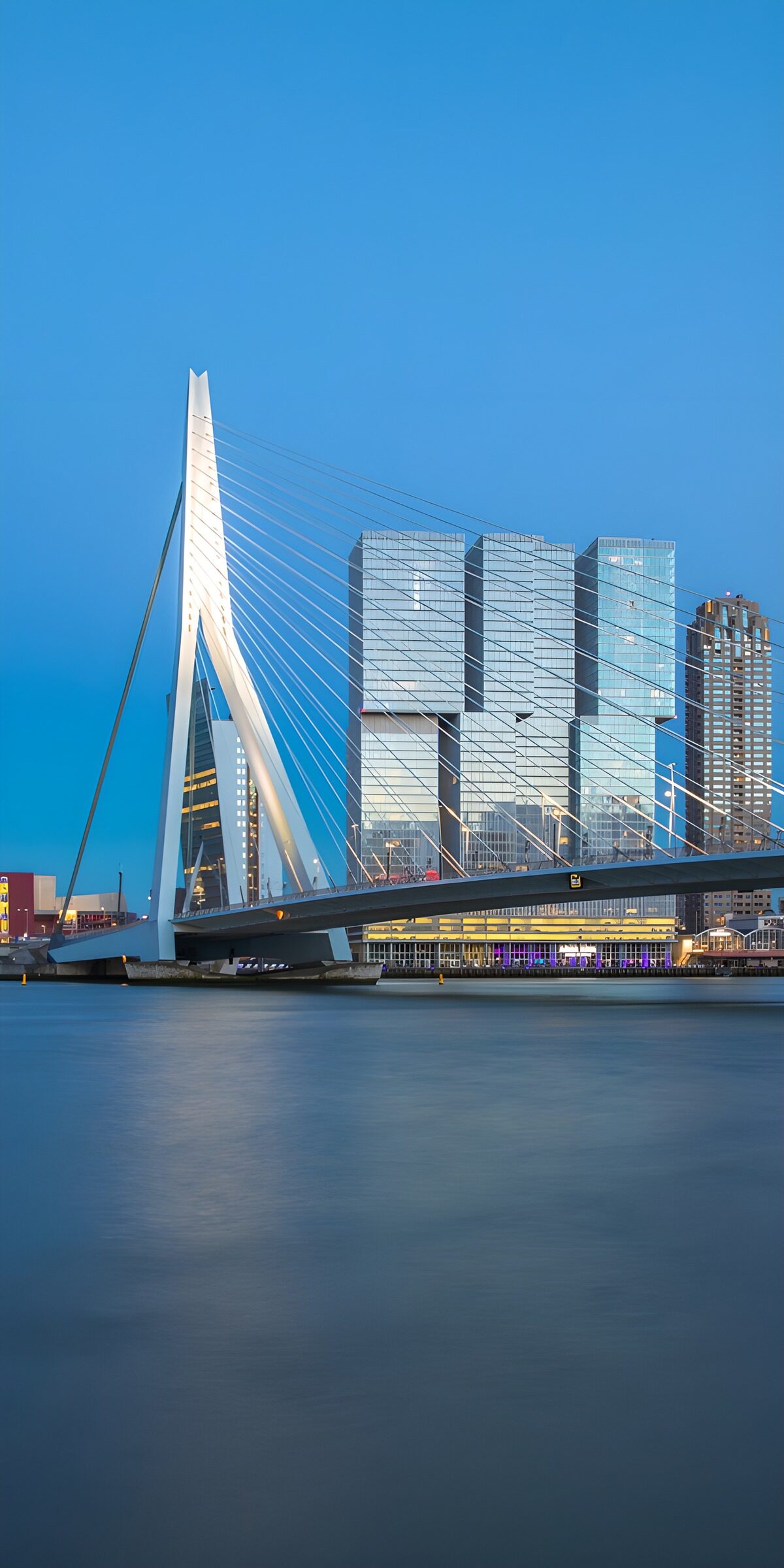 CW5381238: Brug en moderne architectuur in Rotterdam