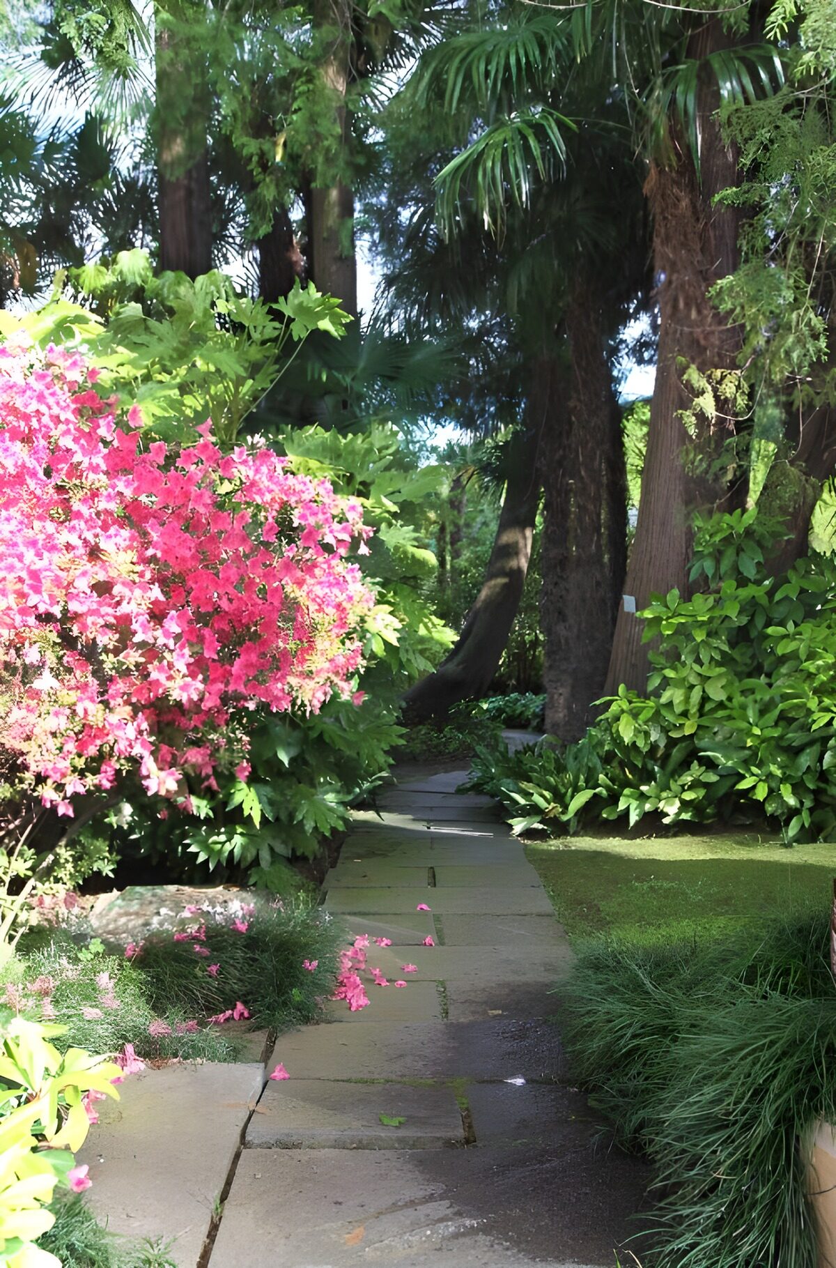 CW5664697: Bloemrijke tuin met een pad