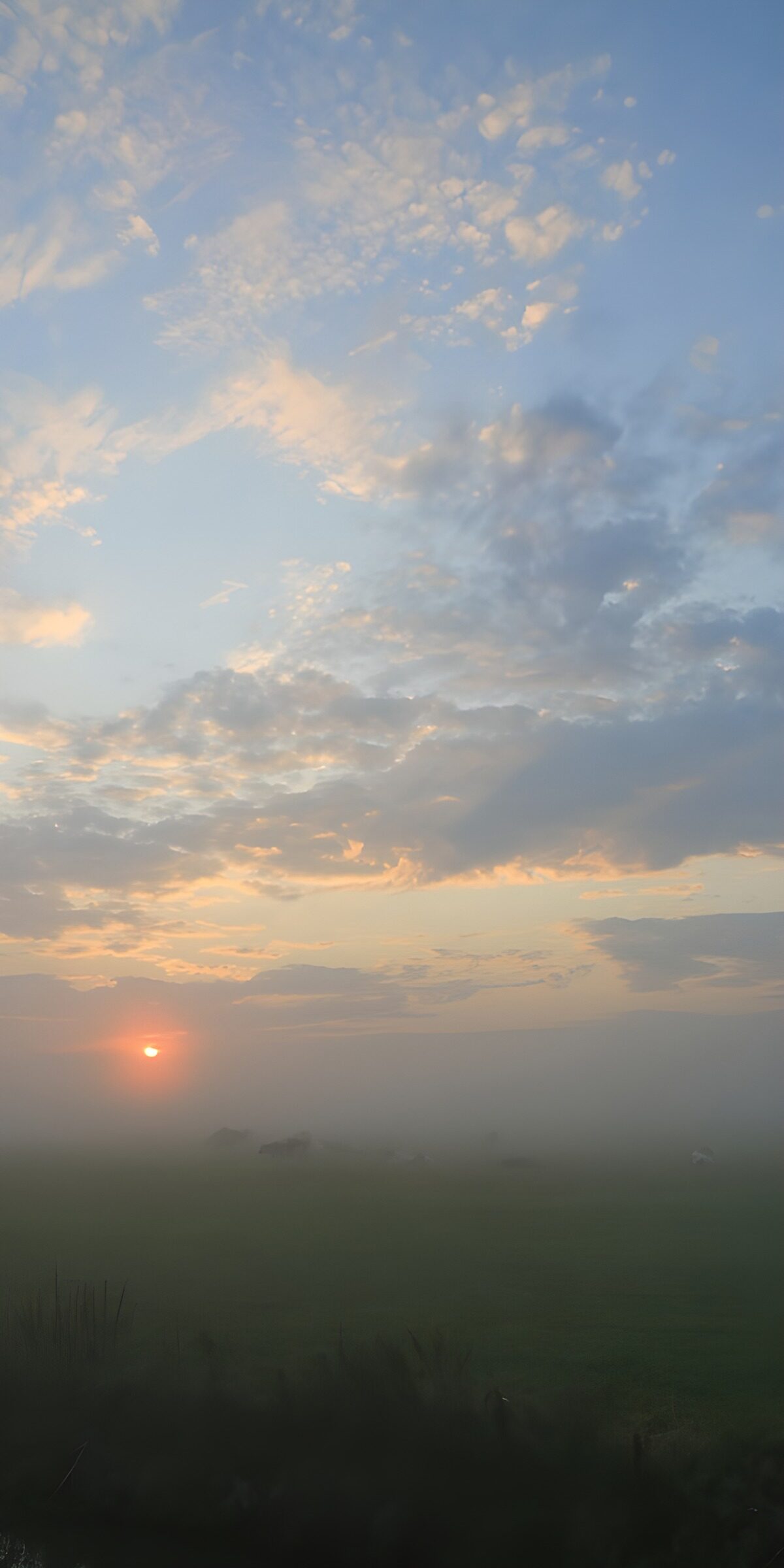 CW8390155: Mistige zonsopgang boven weiland
