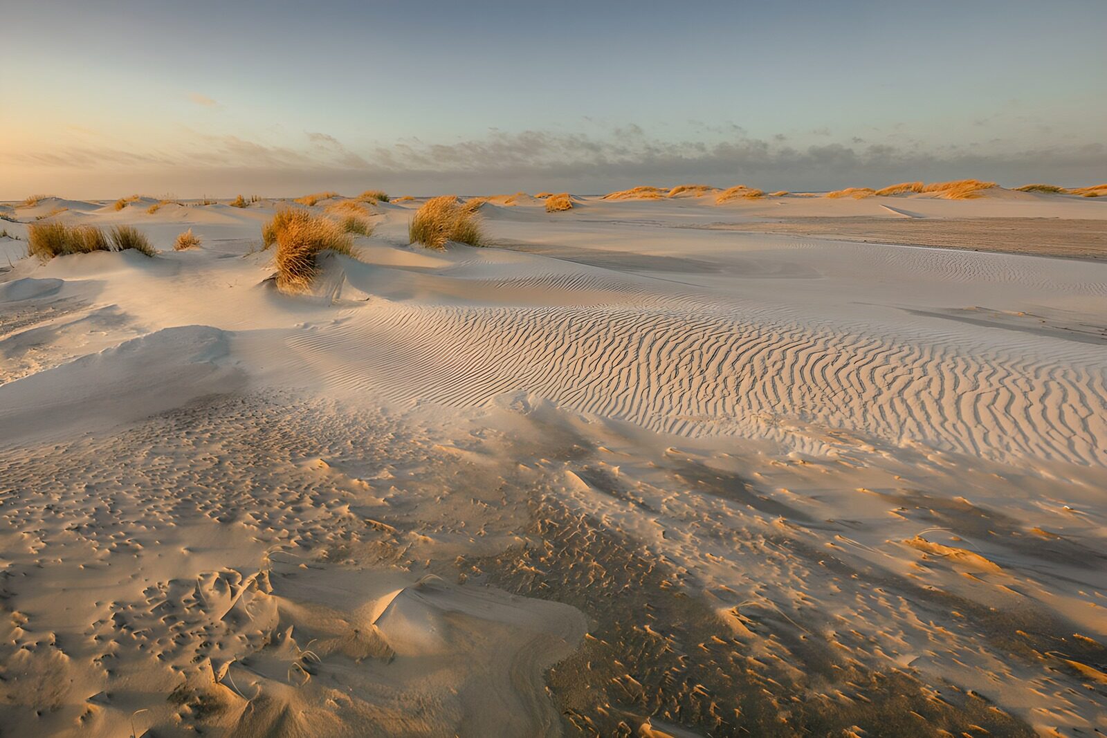 CW5482243: Zandduinen bij zonsondergang