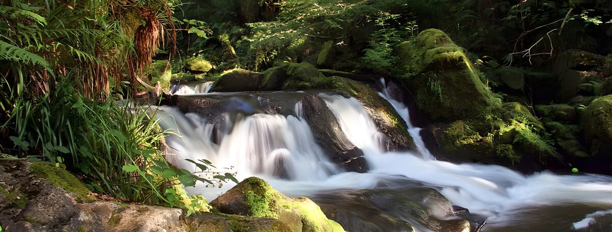 Betoverende Waterval in de Natuur