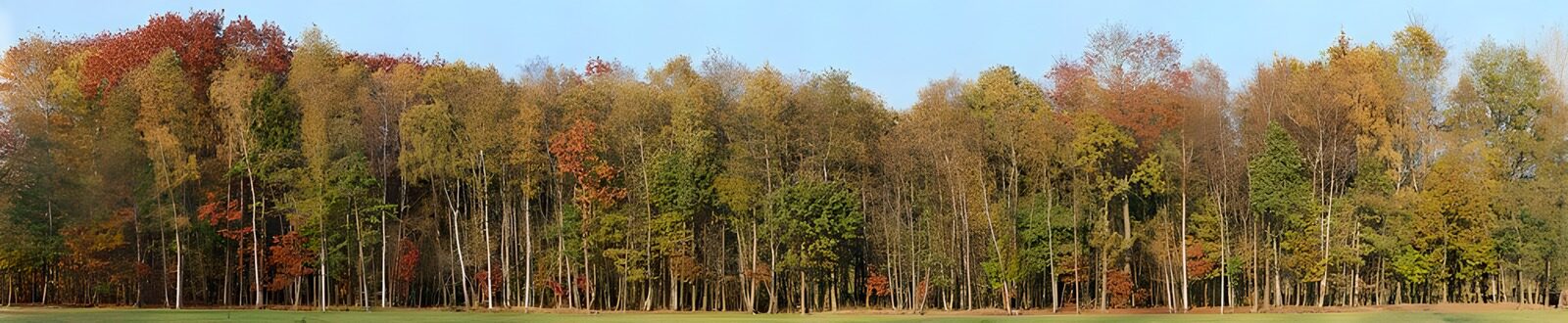 CW6710463: Kleurrijk Herfstlandschap