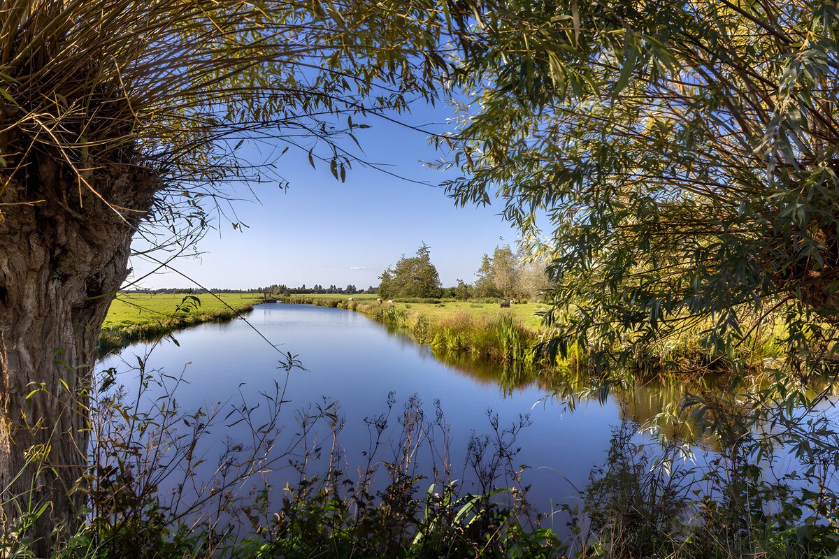 CW2411424: Rustige landschap aan de waterkant