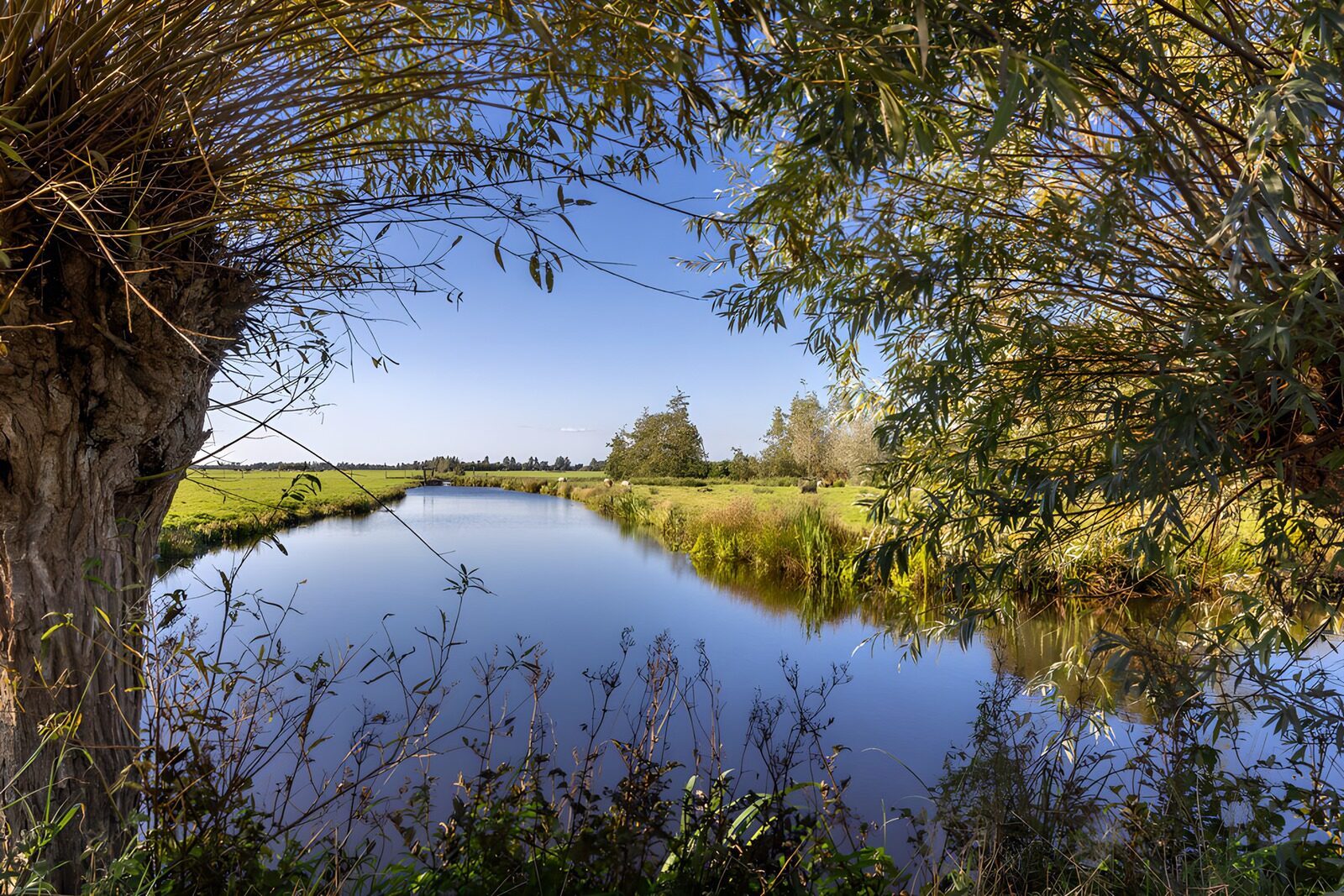 CW2411424: Rustige landschap aan de waterkant
