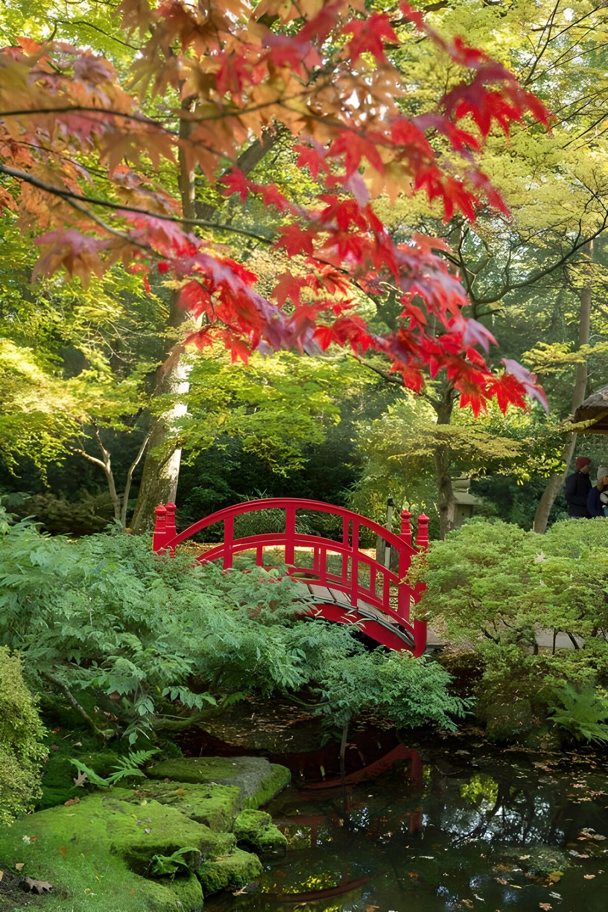 CW9618215: Prachtige brug in herfsttuin