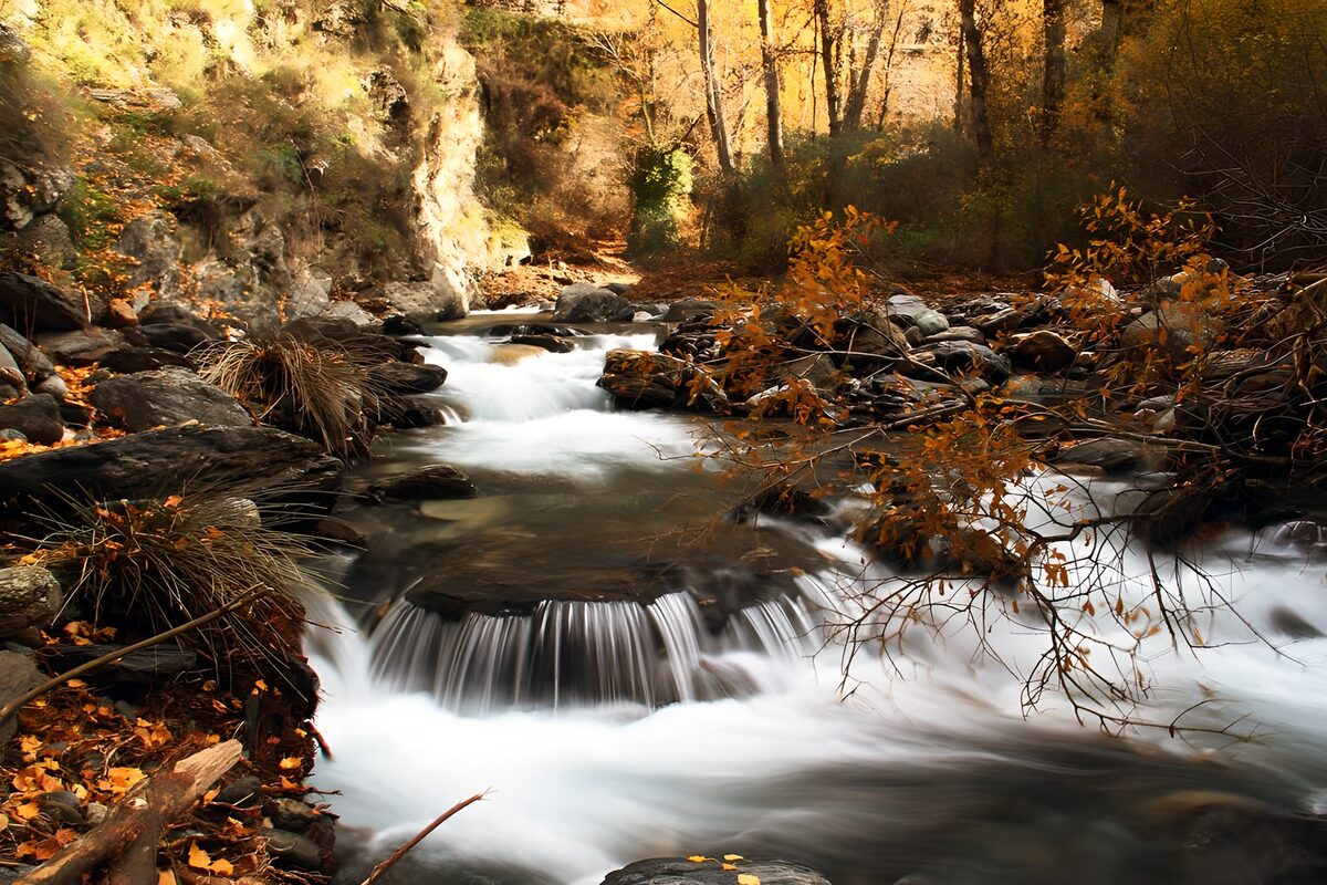Waterval in een herfstlandschap