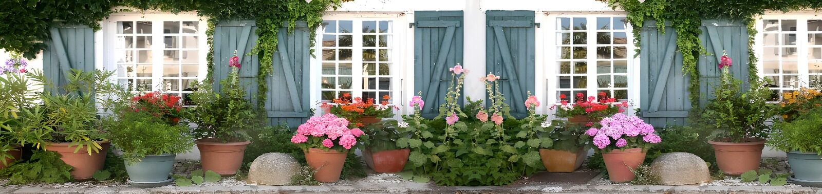 CW2545909: Kleurrijke bloemen voor een huisje