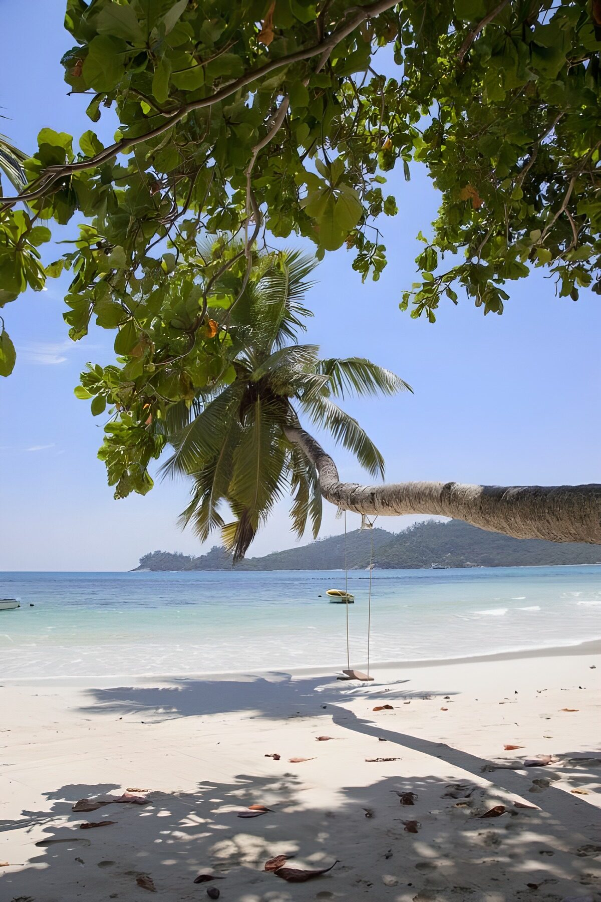 Paradijs op het strand onder palmboom