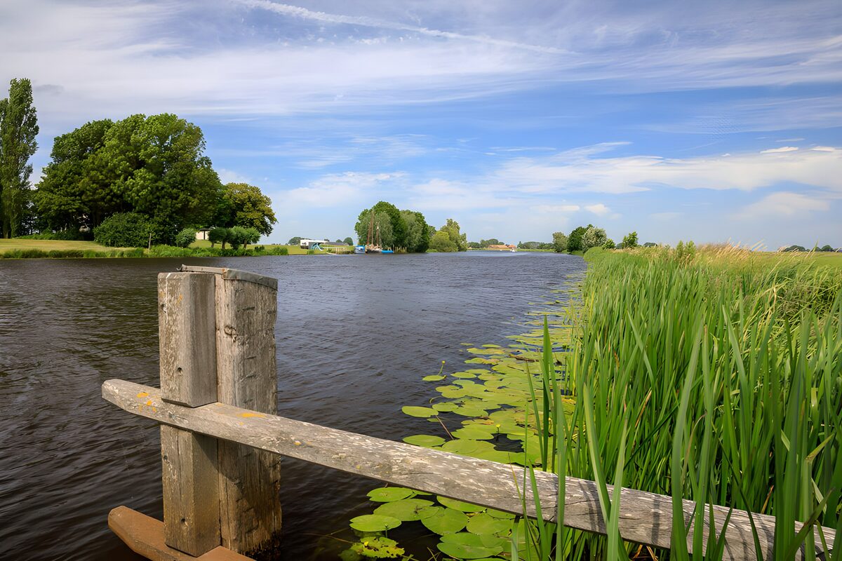 CW2992646: Rustige rivier met groen landschap