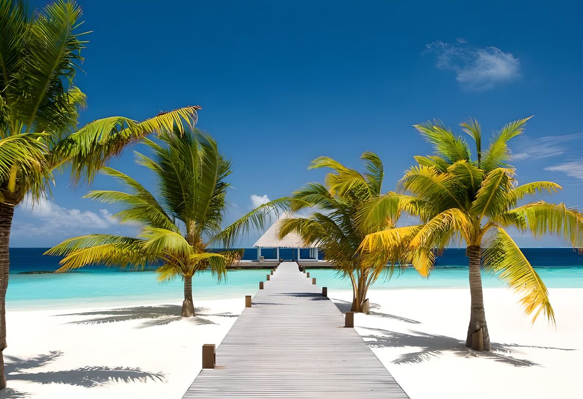 CW8730049: Tropische strandpromenade met palmbomen