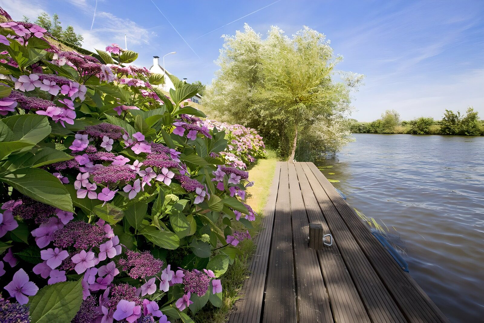 CW1425889: Rustige bloemenrand aan het water