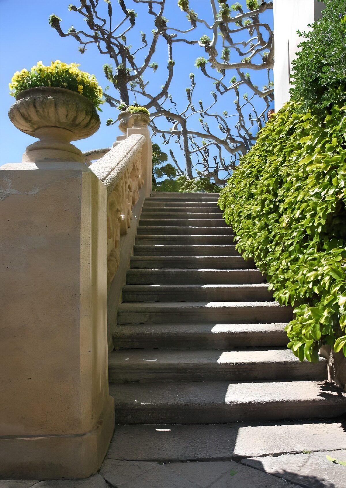 Zonovergoten trap naar de tuin