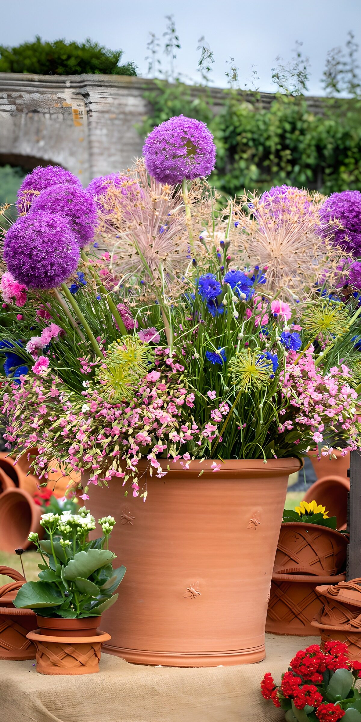 Kleurrijke bloemen in terracotta pot