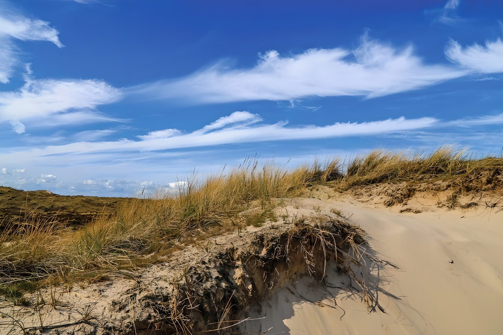 CW8969141: Zandduinen onder een heldere lucht