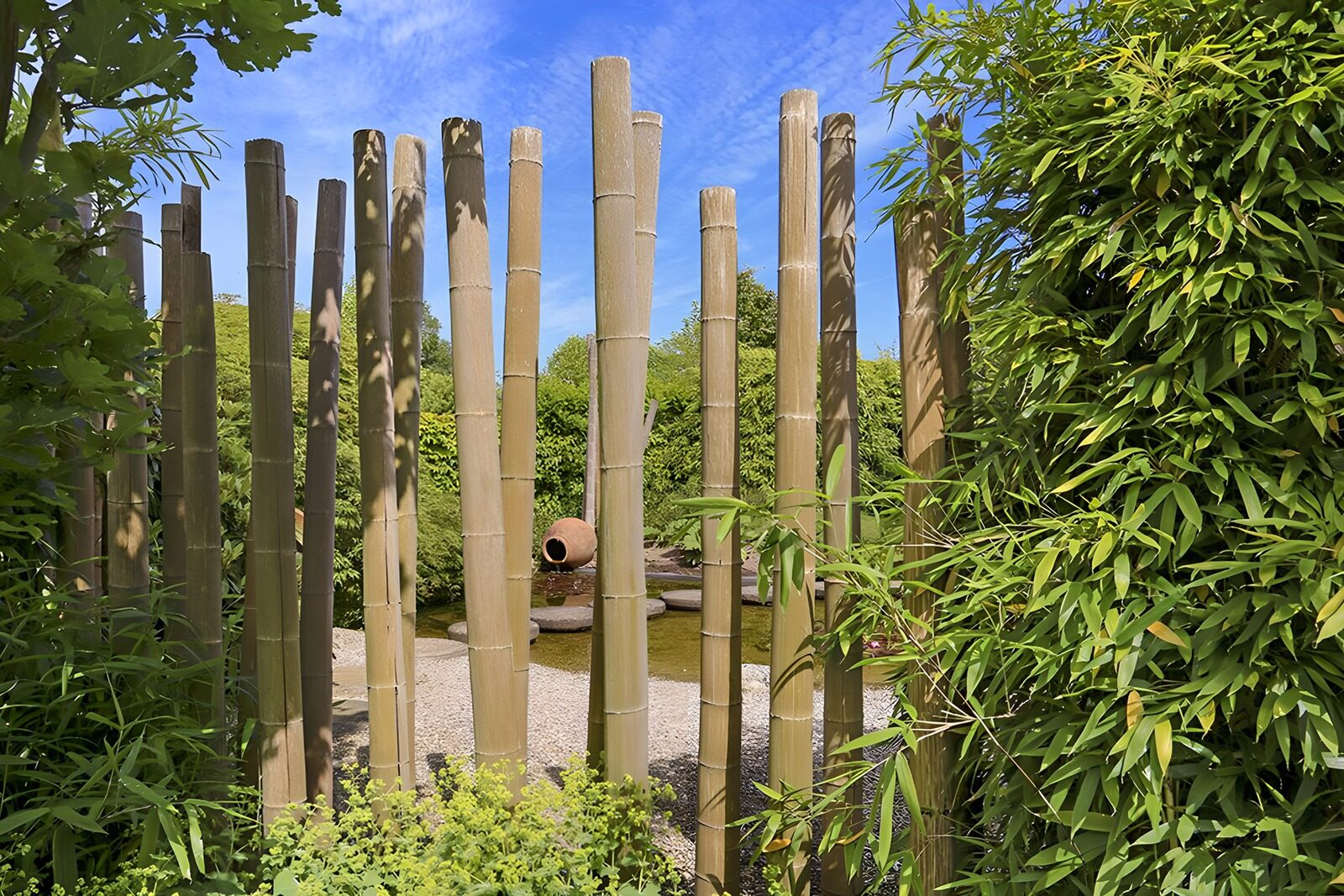 CW5559197: Rustige Bamboo Tuinpoort