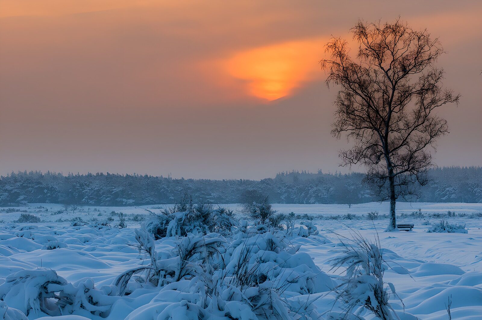 CW3694704: Betoverend winterlandschap bij zonsopgang