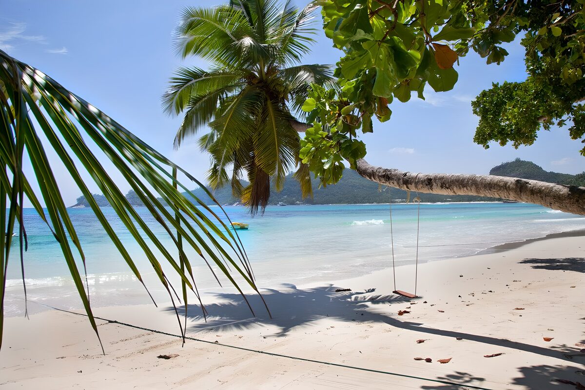 CW9403304: Tropisch strand met palmbomen
