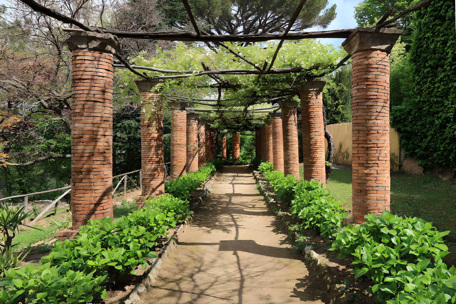CW7267374: Paden onder een groene pergola