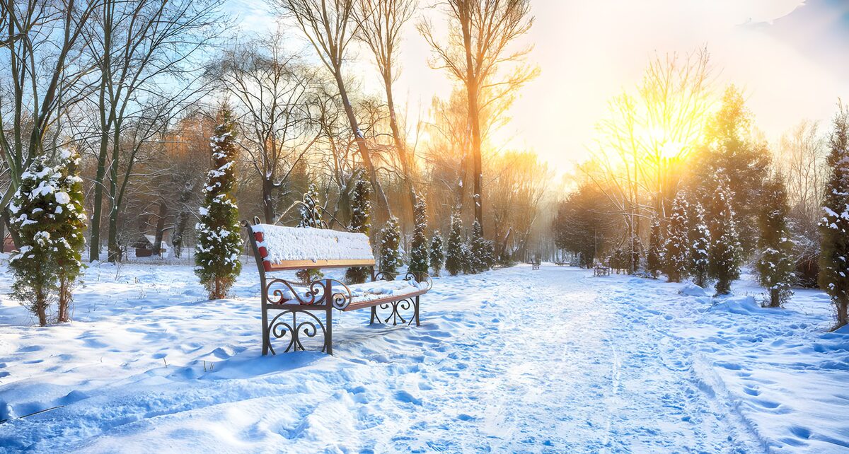 CW8107211: Sneeuwbedekte parkbank bij zonsopgang