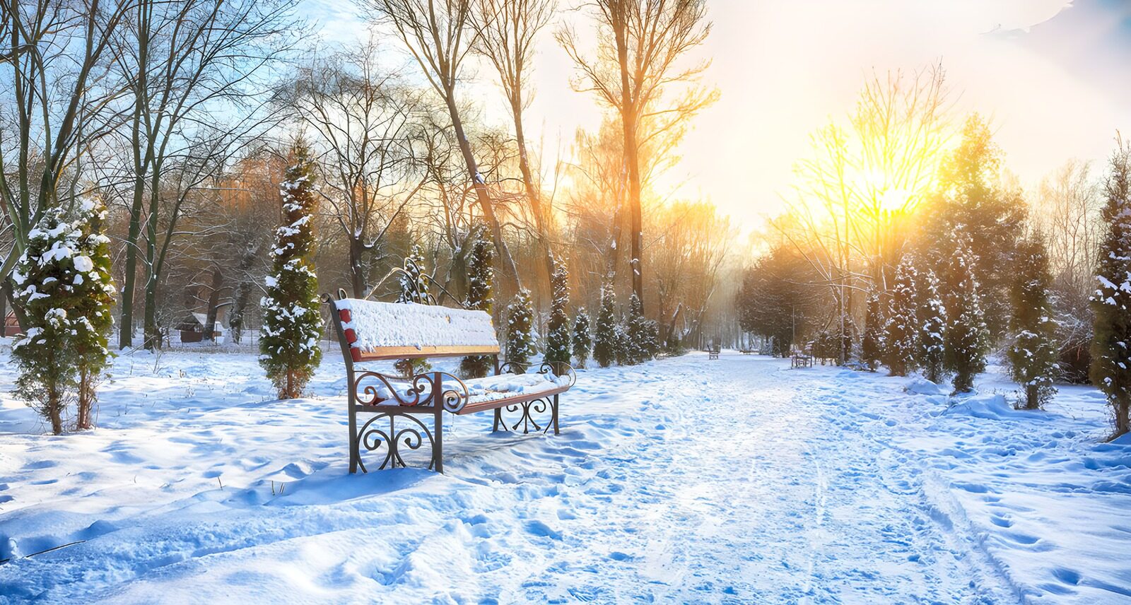 CW8107211: Sneeuwbedekte parkbank bij zonsopgang