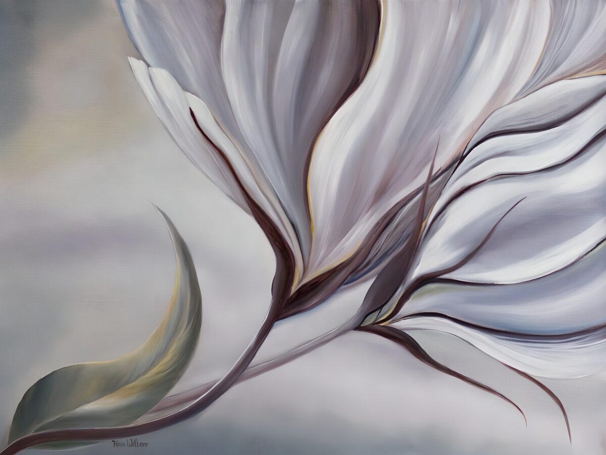 Elegante Witte Bloem