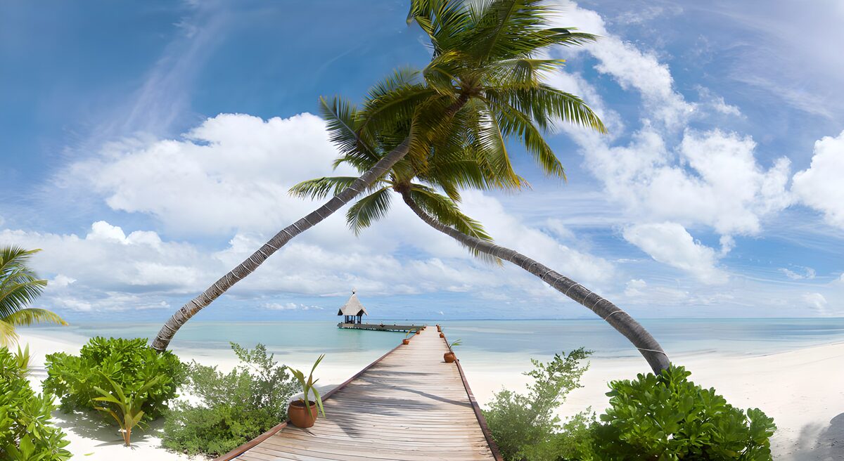 Tropisch Paradijs met Palmbomen
