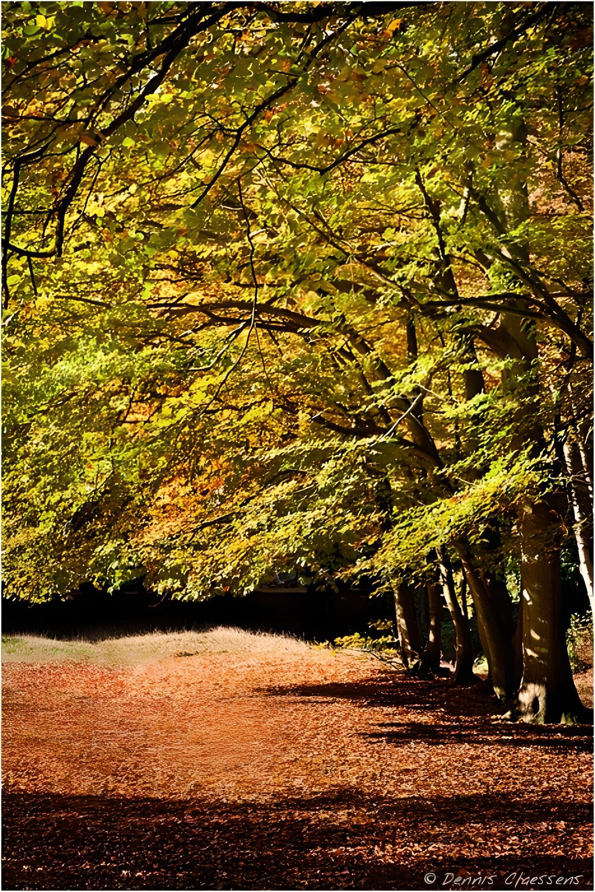 Herfstlandschap met boomgaarden