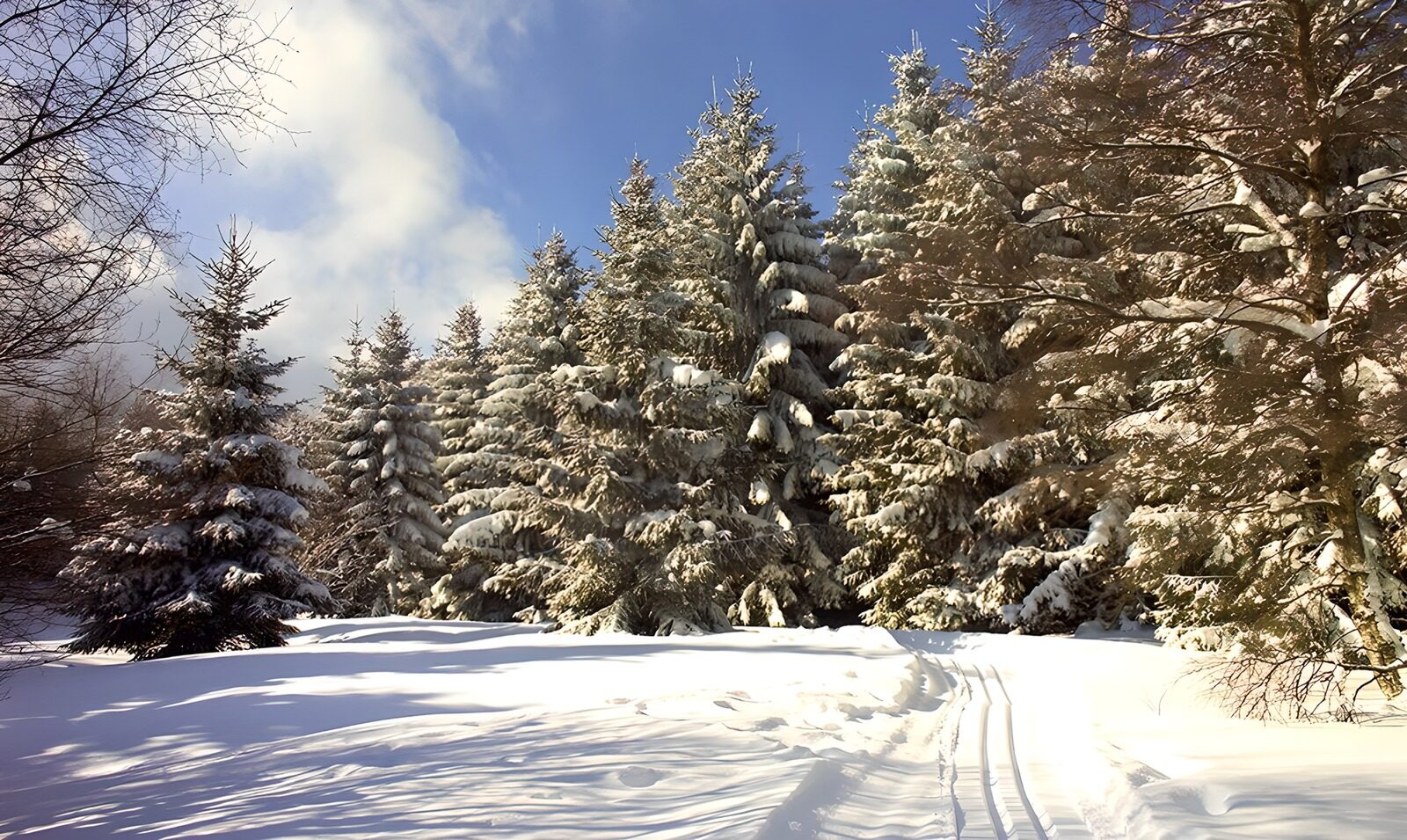CW9366134: Sprookjesachtig winters landschap