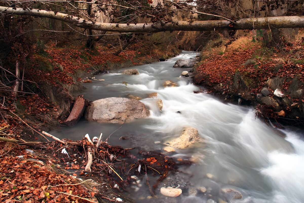 Stromend Water Tussen de Herfstbladeren