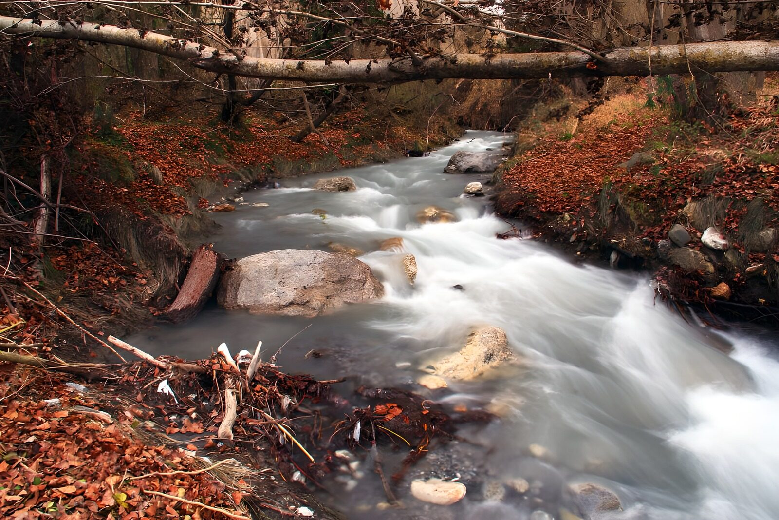 CW6913339: Stromend Water Tussen de Herfstbladeren