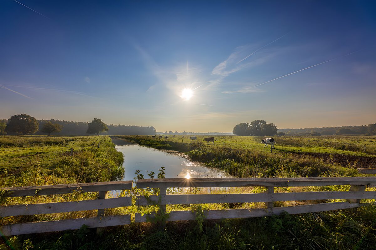 Vredige ochtend op het platteland