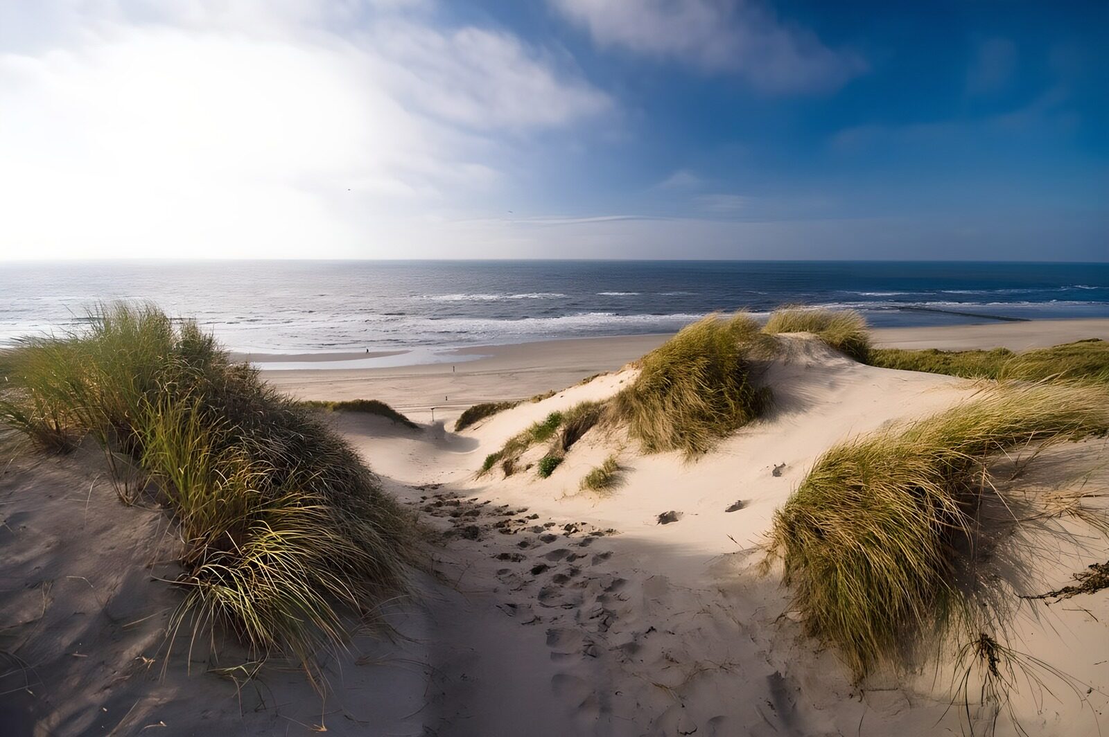 CW3956161: Prachtig uitzicht vanaf de duinen