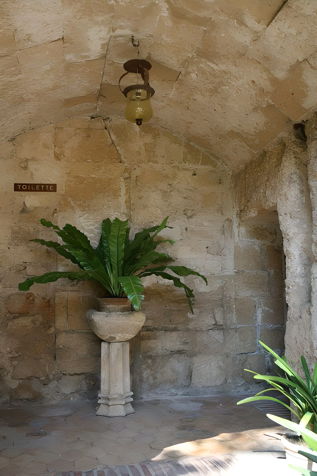 CW3574879: Sfeervolle toiletruimte met planten