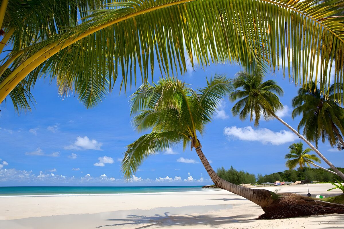 Tropisch strand met palmbomen