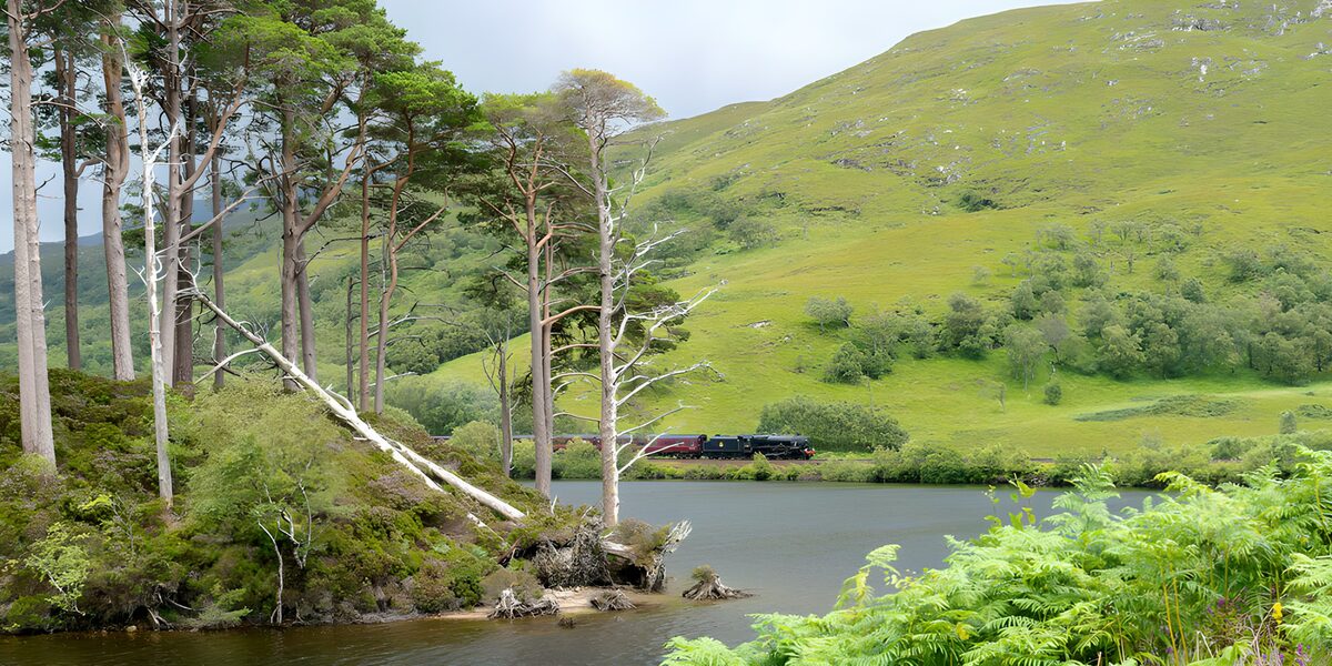 Trein langs het groene meer