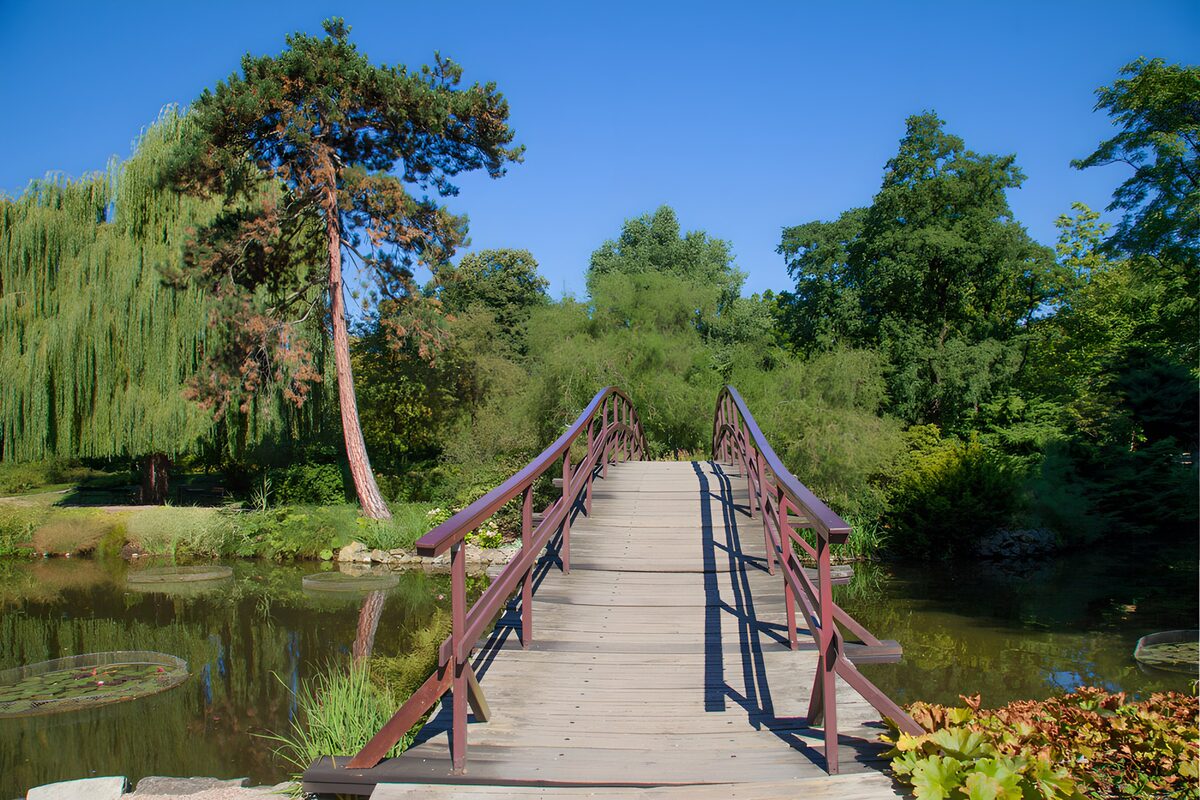Brug in een rustige tuin